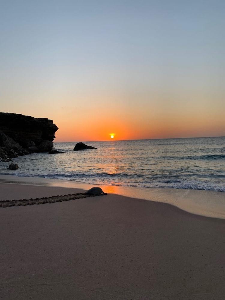 Al Hadd Ras Al Jinz Turtle Reserve מראה חיצוני תמונה