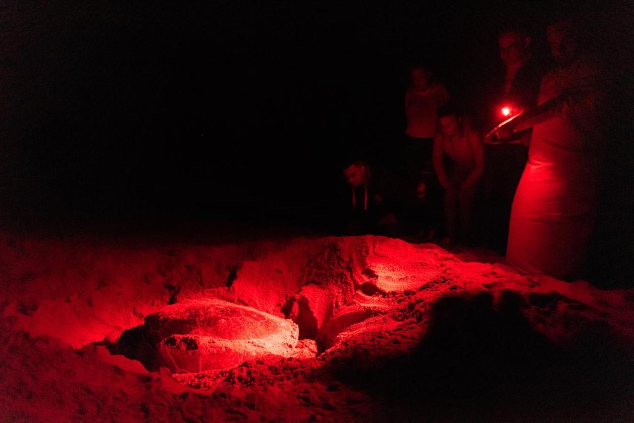 Al Hadd Ras Al Jinz Turtle Reserve מראה חיצוני תמונה